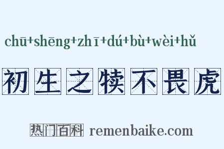 初生之犊不畏虎是什么意思的图片